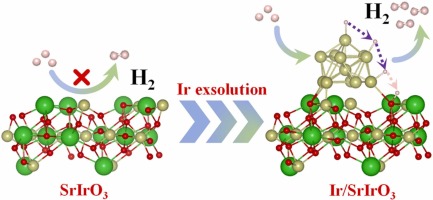 Graphical abstract for this article